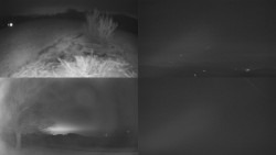 Sdružený snímek Bludný