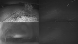 Sdružený snímek Bludný