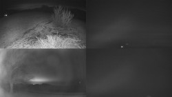 Sdružený snímek Bludný