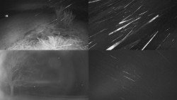 Sdružený snímek Bludný