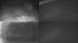 Sdružený snímek Bludný