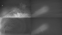 Sdružený snímek Bludný