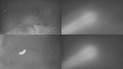 Sdružený snímek Bludný