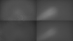 Sdružený snímek Bludný