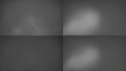 Sdružený snímek Bludný