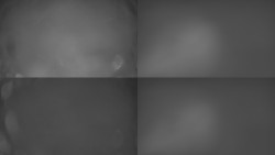 Sdružený snímek Bludný