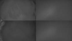 Sdružený snímek Bludný