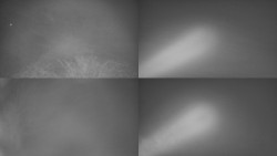 Sdružený snímek Bludný