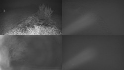 Sdružený snímek Bludný