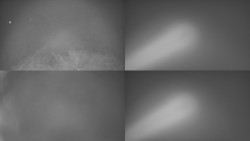 Sdružený snímek Bludný