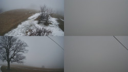 Sdružený snímek Bludný