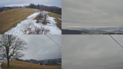 Sdružený snímek Bludný