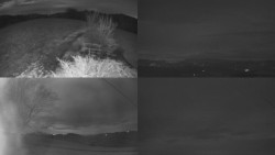 Sdružený snímek Bludný