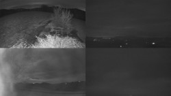 Sdružený snímek Bludný