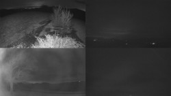 Sdružený snímek Bludný