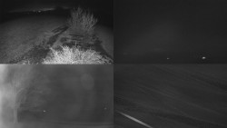 Sdružený snímek Bludný