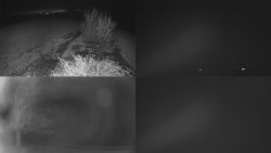 Sdružený snímek Bludný