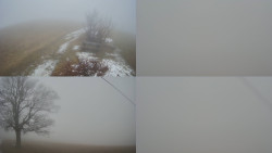 Sdružený snímek Bludný