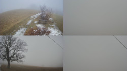 Sdružený snímek Bludný