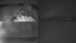 Sdružený snímek Bludný