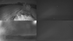 Sdružený snímek Bludný