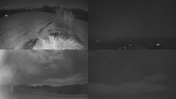 Sdružený snímek Bludný