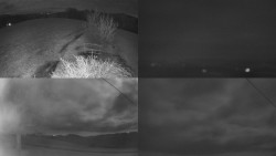 Sdružený snímek Bludný