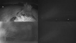 Sdružený snímek Bludný