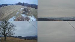 Sdružený snímek Bludný