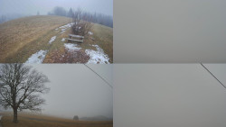 Sdružený snímek Bludný