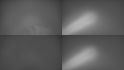 Sdružený snímek Bludný