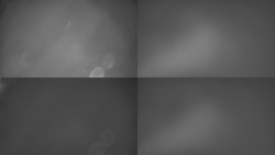 Sdružený snímek Bludný