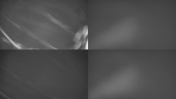 Sdružený snímek Bludný