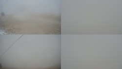 Sdružený snímek Bludný