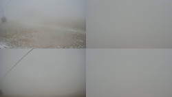 Sdružený snímek Bludný