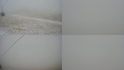 Sdružený snímek Bludný