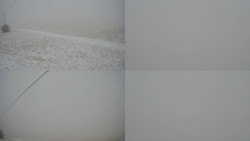 Sdružený snímek Bludný