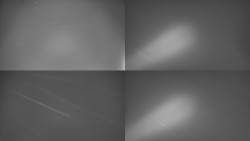 Sdružený snímek Bludný