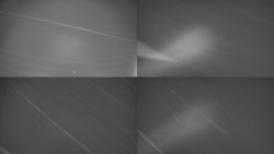 Sdružený snímek Bludný