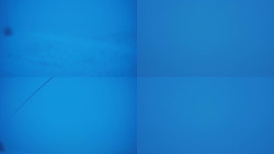 Sdružený snímek Bludný