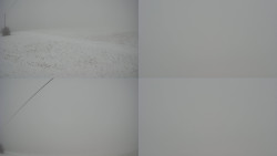 Sdružený snímek Bludný