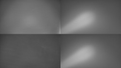 Sdružený snímek Bludný