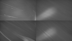 Sdružený snímek Bludný