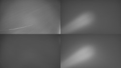 Sdružený snímek Bludný