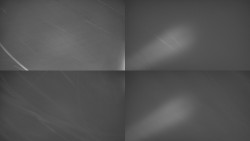 Sdružený snímek Bludný