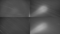 Sdružený snímek Bludný