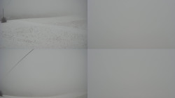 Sdružený snímek Bludný