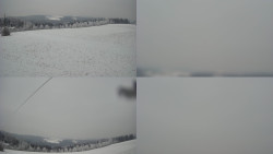 Sdružený snímek Bludný