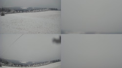 Sdružený snímek Bludný