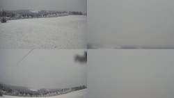 Sdružený snímek Bludný